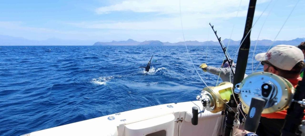 El Pisito La Dolce Vita Puerto del Carmen  Dış mekan fotoğraf